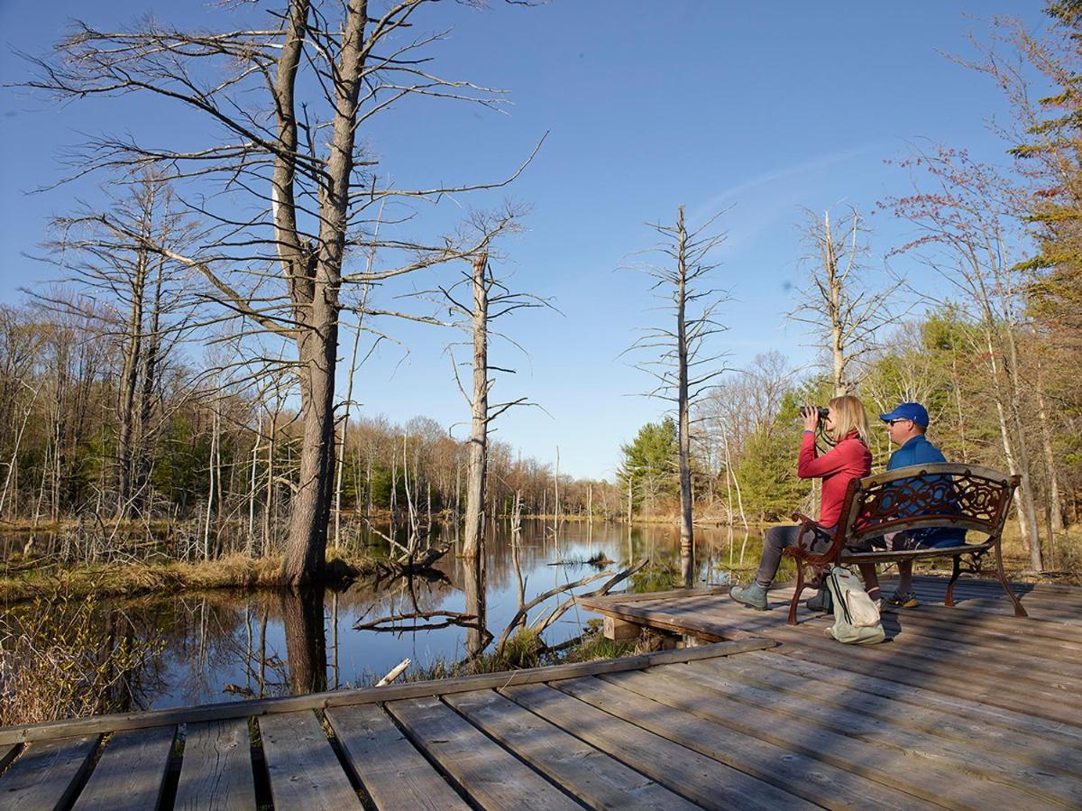Taboo Muskoka Hotel Gravenhurst Buitenkant foto